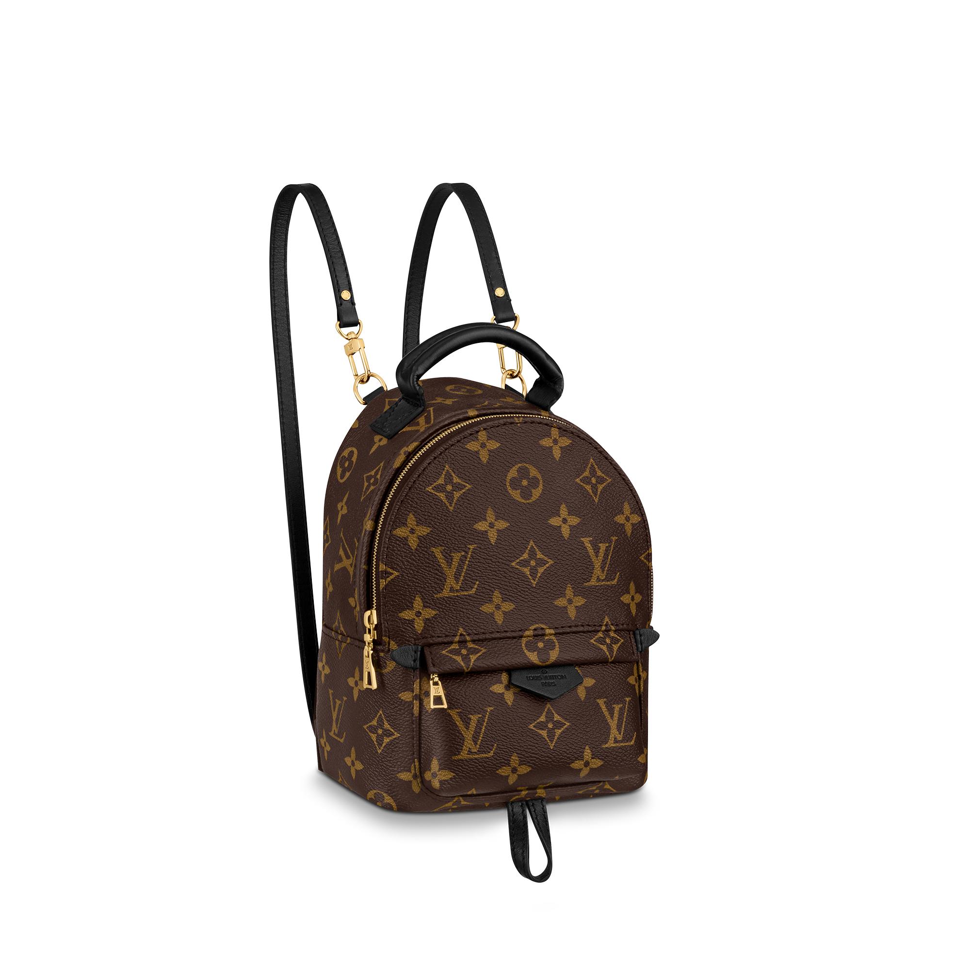 Louis Vuitton Palm Springs Mini Monogram in Brown – WOMEN – Handbags M44873